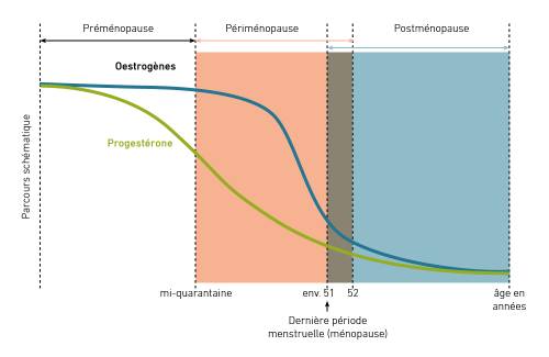 Graphique illustrant les niveaux hormonaux : les œstrogènes et la progestérone diminuent à partir de la mi-quarantaine jusqu’à la ménopause. Les âges clés sont indiqués entre 51 et 52 ans.
