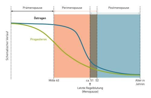 Grafik zur Darstellung des Hormonspiegels: Östrogen und Progesteron nehmen ab Mitte 40 bis zur Menopause ab. Die wichtigsten Altersangaben sind mit 51–52 markiert.