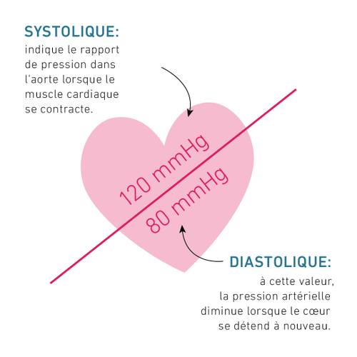 Illustration d'un cœur montrant la pression artérielle systolique (120 mmHg) et diastolique (80 mmHg) avec un texte expliquant les termes.