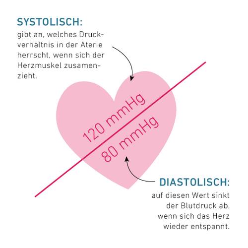 Illustration eines Herzens, die den systolischen (120 mmHg) und diastolischen (80 mmHg) Blutdruck zeigt, mit Text, der die Begriffe erklärt.