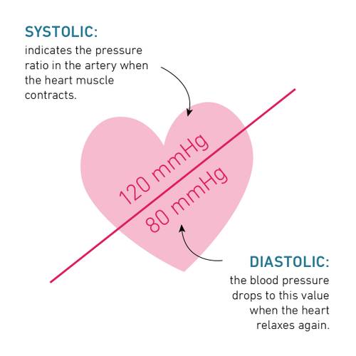 Diagram of a heart showing blood pressure: 120 mmHg systolic (heart contracts), 80 mmHg diastolic (heart relaxes), with arrows and text.