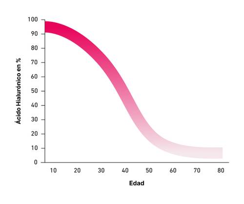 Gráfico que muestra la disminución del contenido de ácido hialurónico del 100 % a los 10 años de edad a aproximadamente el 5 % a los 80 años, con una fuerte disminución después de los 30 años.