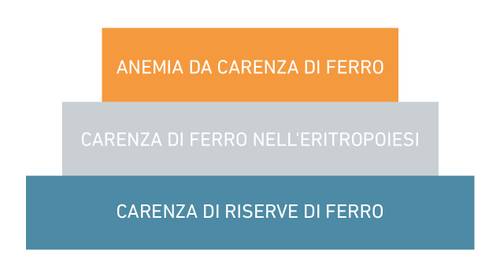 Diagramma a tre livelli con sezioni arancione, grigia e blu, etichettate: "Anemia da carenza di ferro", "Eritropoiesi carente di ferro", "Carenza di ferro di deposito".