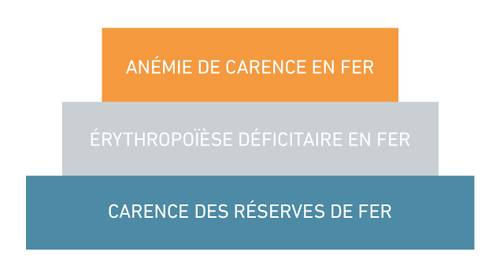 Diagramme à trois niveaux avec des sections orange, grise et bleue, intitulées : « Anémie ferriprive », « Érythropoïèse déficitaire en fer », « Carence en fer de réserve ».
