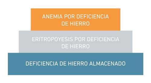 Diagrama de tres niveles con secciones naranja, gris y azul etiquetadas: "Anemia ferropénica", "Eritropoyesis deficitaria en hierro", "Deficiencia de hierro almacenado".