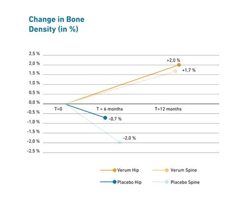 Line graph showing bone density changes over 12 months. Verum increases, while Placebo decreases in both hip and spine measurements.