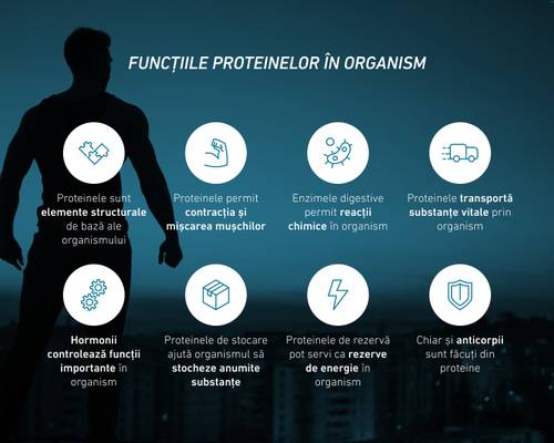 Silueta unei persoane cu icoane care explică funcțiile proteinelor în organism, pe fundalul unui oraș. Text: Proteinele sunt elemente structurale, permit contracția musculară și mișcarea, declanșează reacții chimice, transportă substanțe vitale, reglează funcții esențiale, ajută la stocare, servesc drept rezervă de energie – chiar și anticorpii sunt formați din proteine.