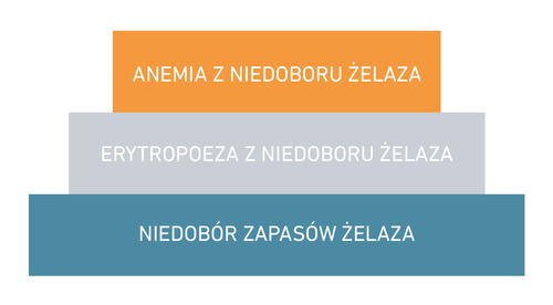 Trójstopniowy diagram z pomarańczową, szarą i niebieską sekcją, oznaczony jako: „Anemia z niedoboru żelaza”, „Erytropoeza z niedoborem żelaza”, „Niedobór żelaza zapasowego”.