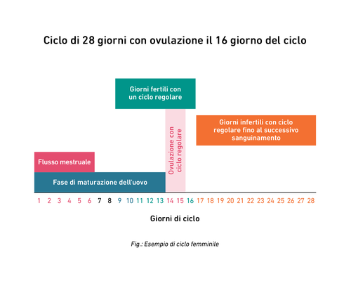 Diagramma di un ciclo mestruale di 28 giorni con ovulazione al giorno 16. Include le fasi: mestruazione, follicolare, ovulazione e luteale.
