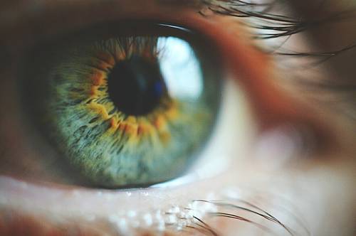 Nahaufnahme eines menschlichen Auges mit grünen und braunen Farbtönen, detaillierten Irisstrukturen und sichtbaren Wimpern.