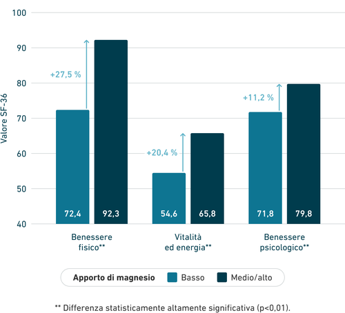 Grafico a barre che mette a confronto i livelli di assunzione di magnesio e il loro impatto sul benessere fisico, sulla vitalità e sul benessere psicologico, indicando gli aumenti percentuali.