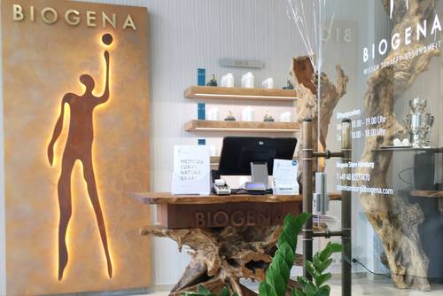Empfangsbereich mit einem Schreibtisch aus Holz, einem abstrakten Kunstwerk in Form einer menschlichen Figur und Regalen mit kleinen Pflanzen. Auf dem Schild steht „Biogena“.