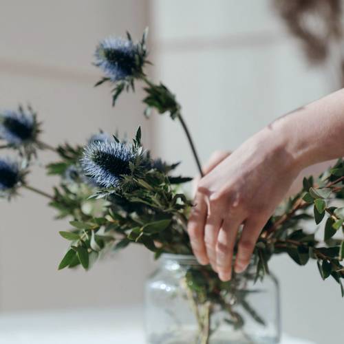 Mâini aranjând tulpini de arțar albastru (eryngium) și verdeață într-o vaza de sticlă clară pe o suprafață deschisă.