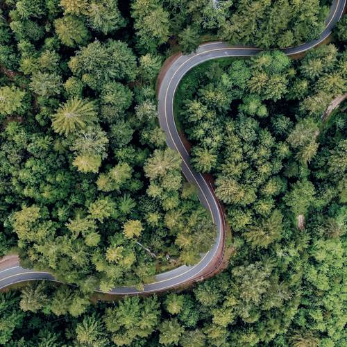Luftaufnahme einer kurvenreichen Straße, die sich durch einen dichten, üppig grünen Wald schlängelt, umgeben von hohen Bäumen.
