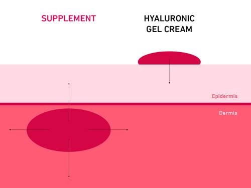 Diagram showing the effects of a supplement and hyaluronic cream on skin layers, labeled “epidermis” and “dermis.”