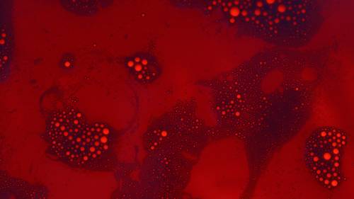 Ein leuchtend rotes abstraktes Bild mit verstreuten hellroten Punkten und strukturierten dunkelroten und schwarzen Bereichen, das an eine mikroskopische Ansicht oder eine kosmische Szene erinnert.