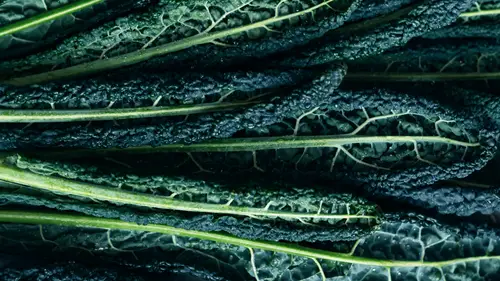 Close-up of fresh, dark green kale leaves with textured, crinkled surfaces and prominent veins.