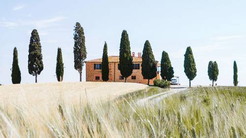 Ein rustikales Backsteinhaus, umgeben von hohen Zypressen, steht in einem goldenen Feld unter einem klaren blauen Himmel.