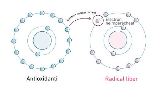 Diagrama unui antioxidant care donează un electron unui radical liber. Antioxidantul are electroni stabili, în timp ce radicalul liber are un electron lipsă.