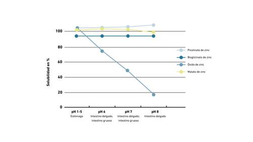 Gráfico que muestra los porcentajes de solubilidad de cuatro compuestos de zinc (picolinato, bisglicinato, óxido y malato) en distintos niveles de pH, desde 1-5 hasta 8.