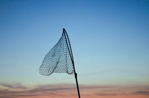 A fishing net on a pole silhouetted against a clear sky at dusk, with shades of blue and pink in the background.