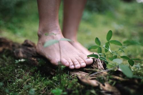 Bare feet stand on moss-covered ground, next to them a small plant that conveys a feeling of connection with nature.