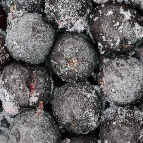 Nahaufnahme von gefrorenen, mit Raureif überzogenen dunklen Beeren, die die detaillierte Struktur und die vereiste Oberfläche zeigen.