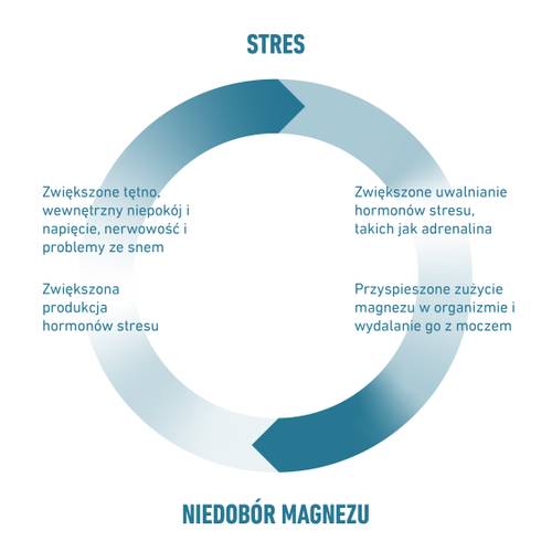 Okrągły diagram przedstawiający cykl między stresem a niedoborem magnezu – z objawami i skutkami.