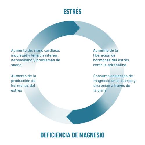 Diagrama circular que muestra el ciclo entre el estrés y la deficiencia de magnesio, con síntomas y efectos.