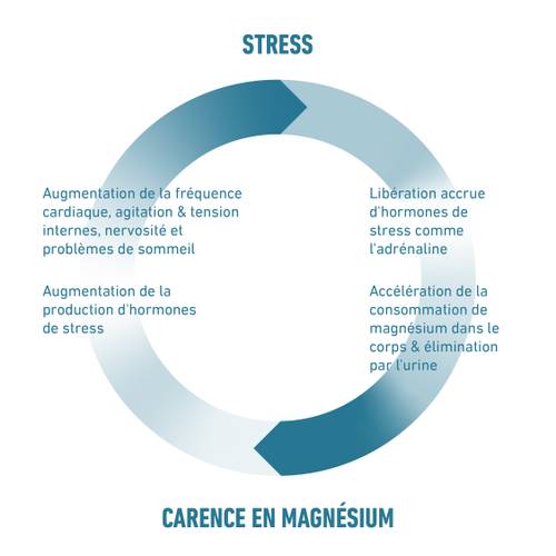 Diagramme circulaire illustrant le cycle entre le stress et la carence en magnésium, avec symptômes et effets.