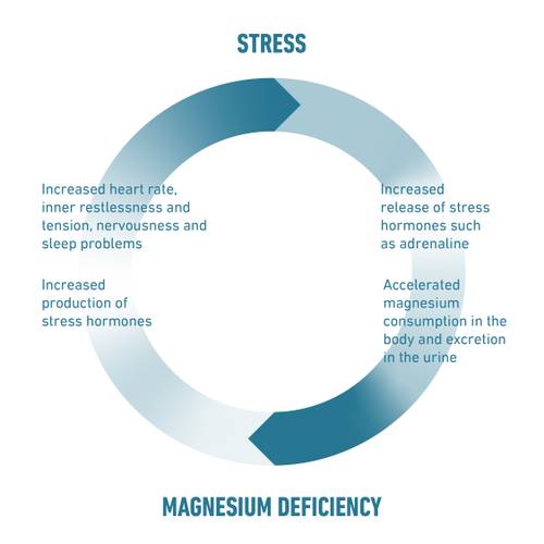 Circular diagram showing the cycle between stress and magnesium deficiency, with symptoms and effects.