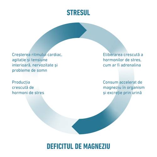 Diagramă circulară care arată ciclul dintre stres și deficiența de magneziu, cu simptome și efecte.