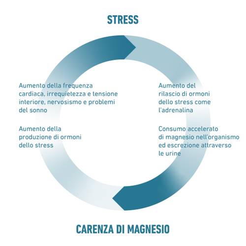 Diagramma circolare che mostra il ciclo tra stress e carenza di magnesio, con sintomi ed effetti.