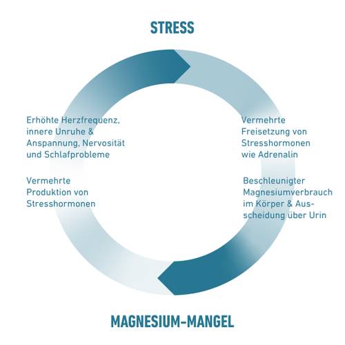 Kreisdiagramm zeigt den Kreislauf zwischen Stress und Magnesiummangel – mit Symptomen und Auswirkungen.