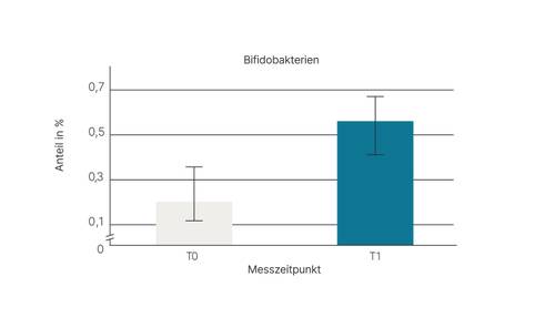 Balkendiagramm mit den Bifidobakterien-Werten: T0 bei 0,1 % und T1 bei 0,5 %, mit Fehlerbalken. Y-Achse mit der Beschriftung „Anteil in %”.