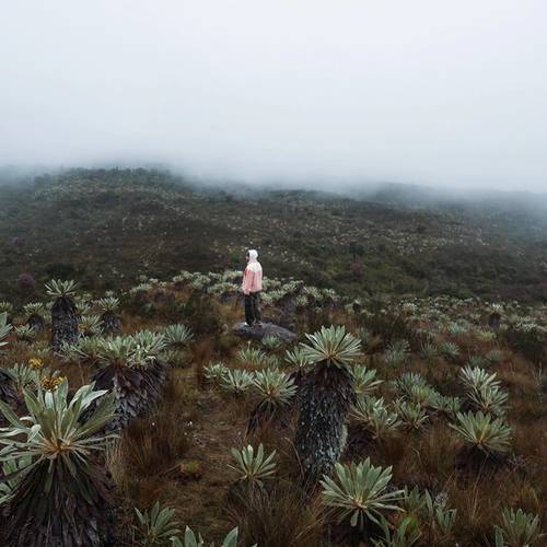 Eine Person steht auf einem Felsen in einer nebligen Landschaft mit dichter Vegetation und fernen Hügeln.