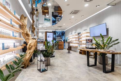 Modernes Ladendesign mit eleganten Regalen, auf denen Produkte präsentiert werden, großen Pflanzen, einem Holztisch und einem an der Wand montierten Fernseher in einer hellen, geräumigen Umgebung.