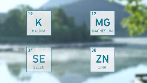 Die Elemente K (Kalium), MG (Magnesium), SE (Selen) und ZN (Zink) aus dem Periodensystem mit ihren Ordnungszahlen auf einem verschwommenen Naturhintergrund.