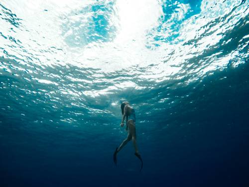 Eine Person mit Flossen schwimmt unter Wasser an die Oberfläche, während in einer ruhigen Meereslandschaft Sonnenlicht durch das Wasser scheint.