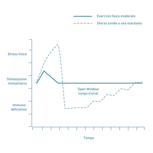 Grafico con due linee: una presenta un picco marcato seguito da una stabilizzazione, l’altra mostra delle fluttuazioni. Le etichette sono in tedesco.