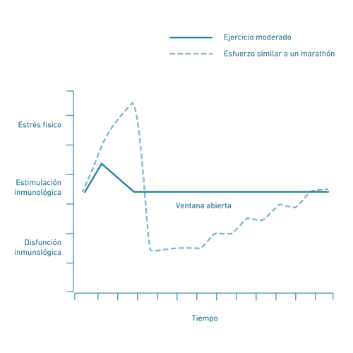 Gráfico con dos líneas: una tiene un pico pronunciado y luego se estabiliza, la otra presenta fluctuaciones. Las etiquetas están en alemán.