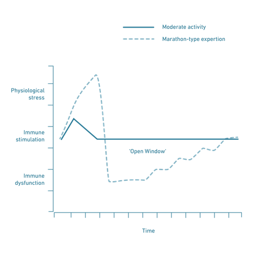 Graph showing two lines: one peaks sharply then stabilizes, the other fluctuates.