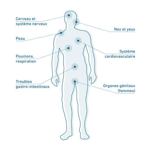 Silhouette d'un corps humain avec des points indiquant les différents systèmes et organes du corps.