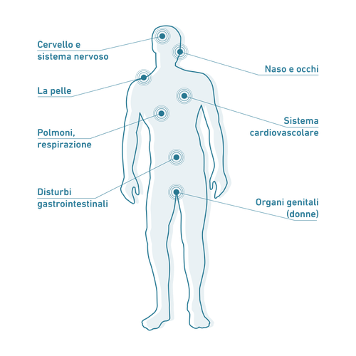 Sagoma di un corpo umano con punti contrassegnati che indicano i diversi sistemi e organi del corpo.
