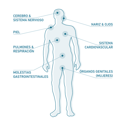 Silueta de un cuerpo humano con puntos etiquetados que indican los diferentes sistemas y órganos del cuerpo.