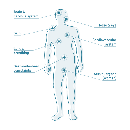 Silhouette of a human body with labeled areas: brain, skin, lungs, gastrointestinal, sexual organs, cardiovascular, and nose/eyes.
