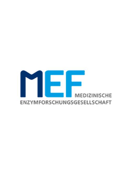 MEF Logo