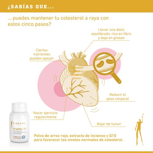 Infografía sobre el control del colesterol con los siguientes pasos: dieta equilibrada, aporte nutricional, ejercicio regular, dejar de fumar y un frasco de complementos alimenticios.