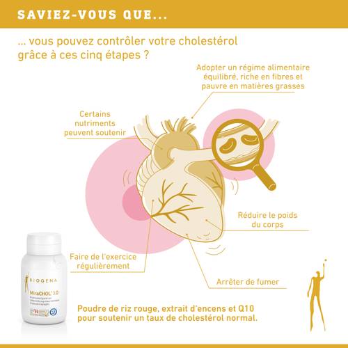 Infographie sur la gestion du cholestérol avec les étapes suivantes : alimentation équilibrée, apport en nutriments, activité physique régulière, sevrage tabagique et une bouteille de compléments alimentaires.