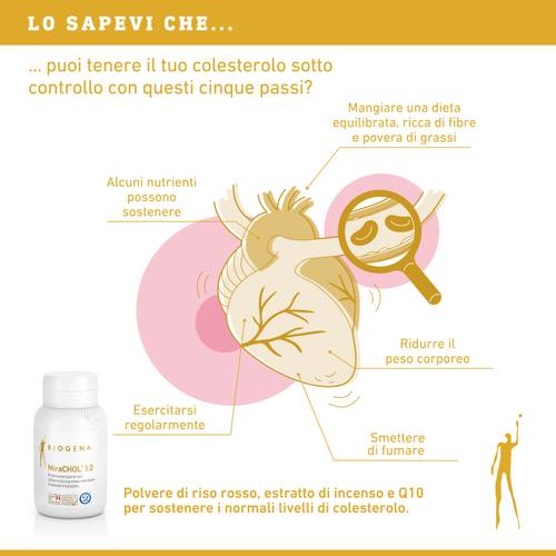 Infografica sulla gestione del colesterolo con le seguenti fasi: alimentazione equilibrata, apporto nutrizionale, esercizio fisico regolare, smettere di fumare e un integratore alimentare.